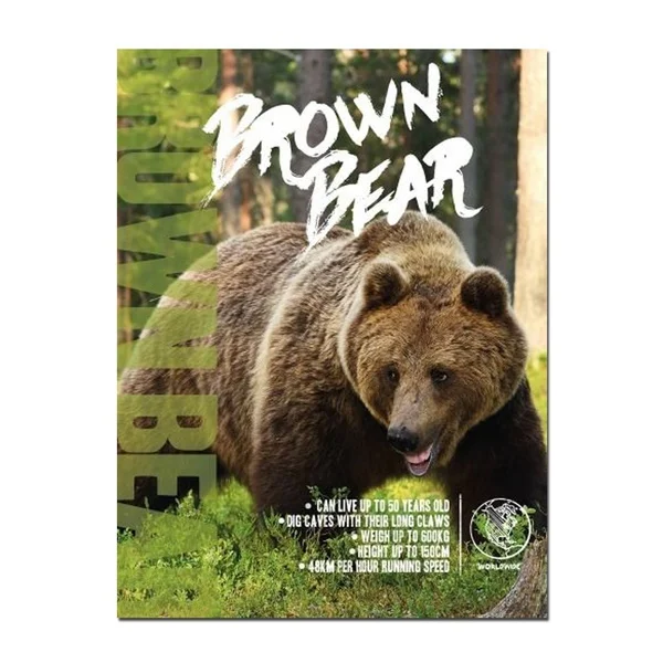 

Металлический постер с изображением коричневого медведя, зоопарка, животного, сафари, парка, жестяной металлический постер, металлический ...