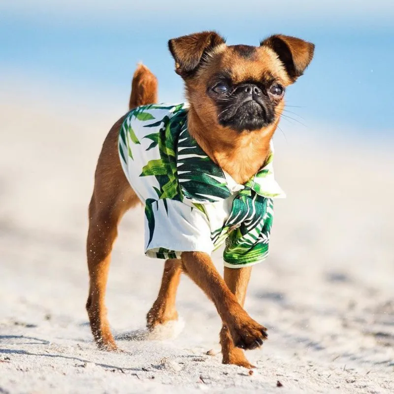 

Pet Hawaii Green Bamboo Summer Hawaii Style Costume Cool Breathable Chiffon Short Sleeve Printed Shirt For Dogs New