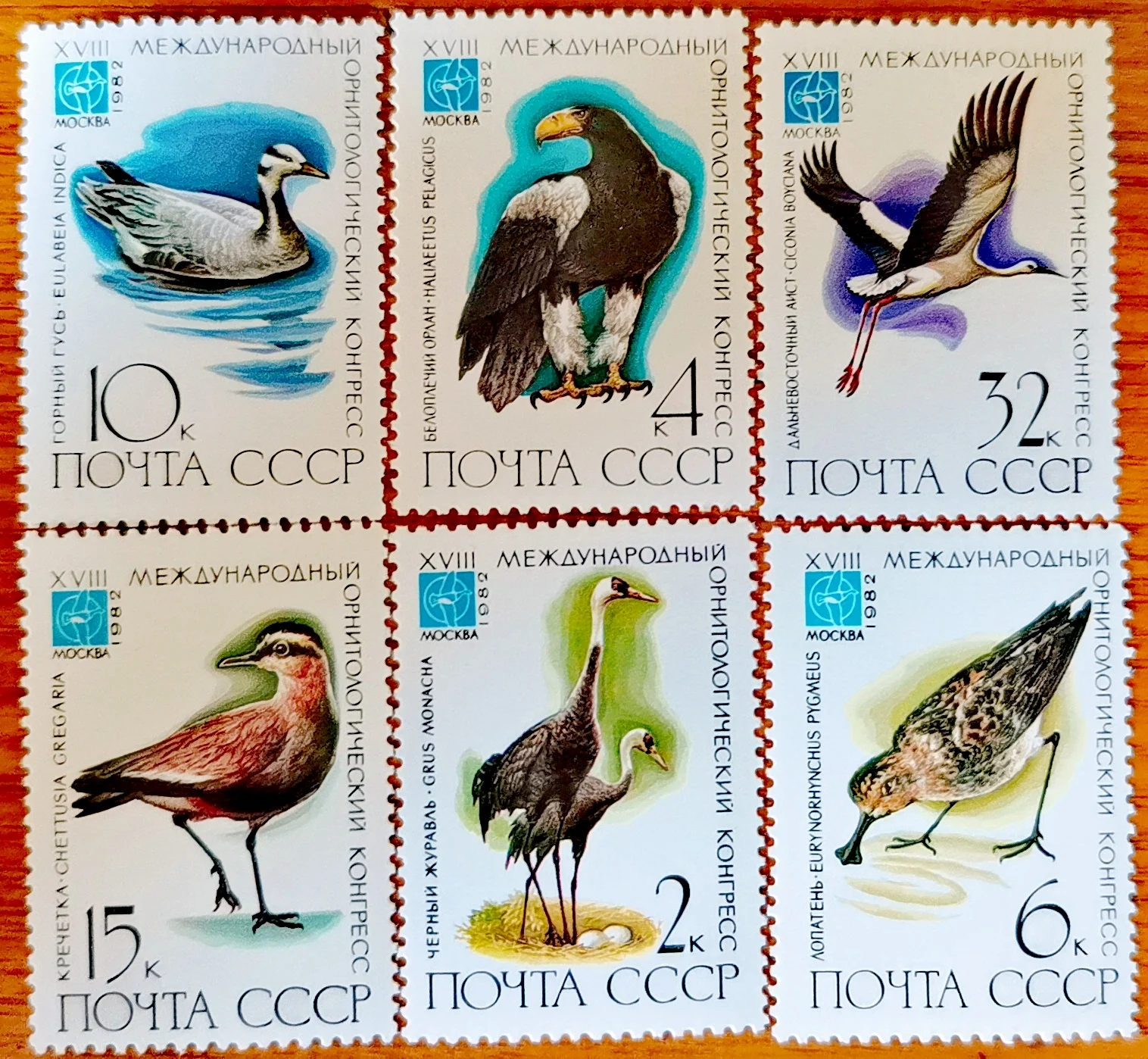 

6 шт./компл. новые штампы СССР 1982, редкие птицы, штампы MNH