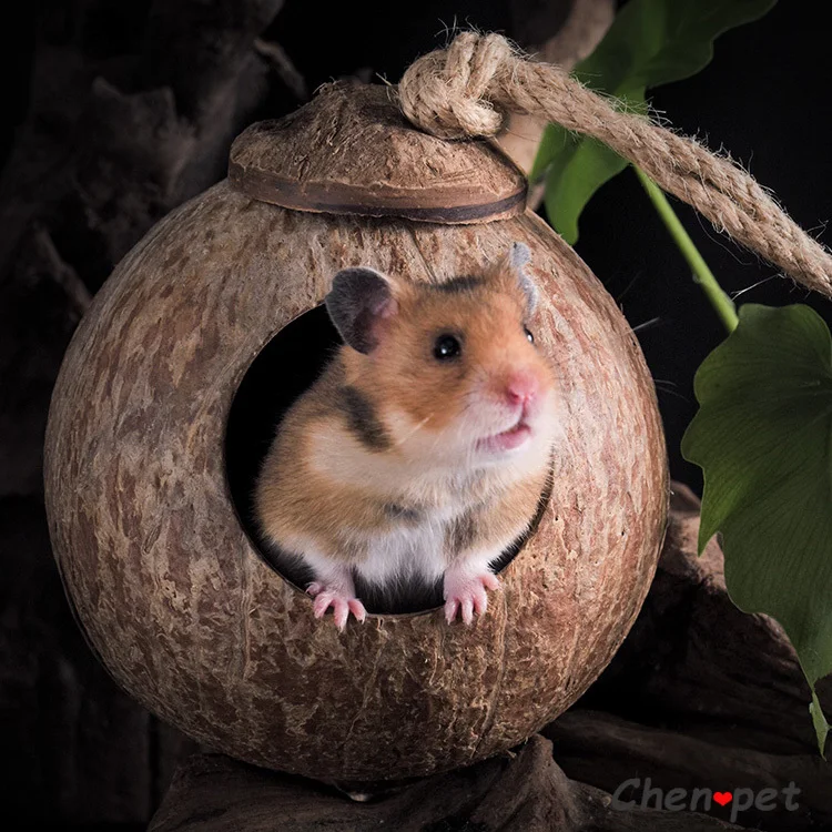 natural small pet coconut cages pet cage for hamster guinea pig mice squirrel wooden house for rat rodent small animal nest free global shipping