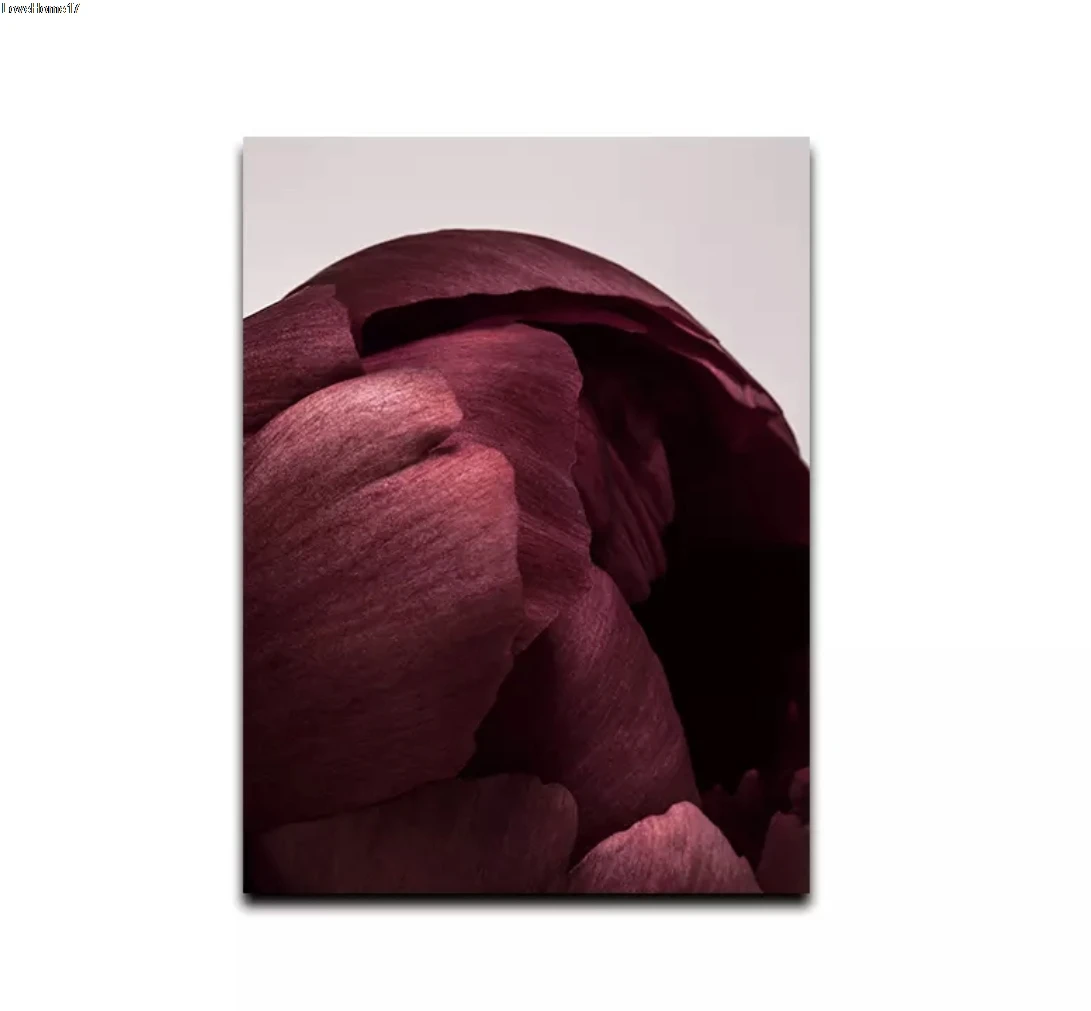 

Red Flower Rose Modern Art Fashion Beautiful Romantic Simple White Background Room Decor Frameless Canvas Oil Painting Poster