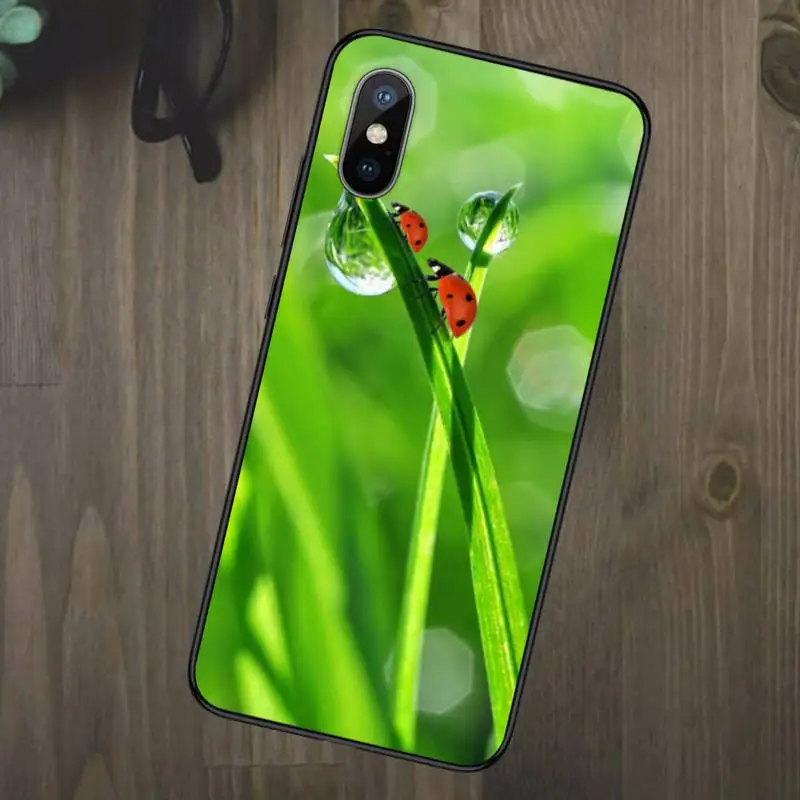 

four leaf ladybug daisy Phone Case for iPhone 11 12 mini pro XS MAX 8 7 6 6S Plus X 5S SE 2020 XR