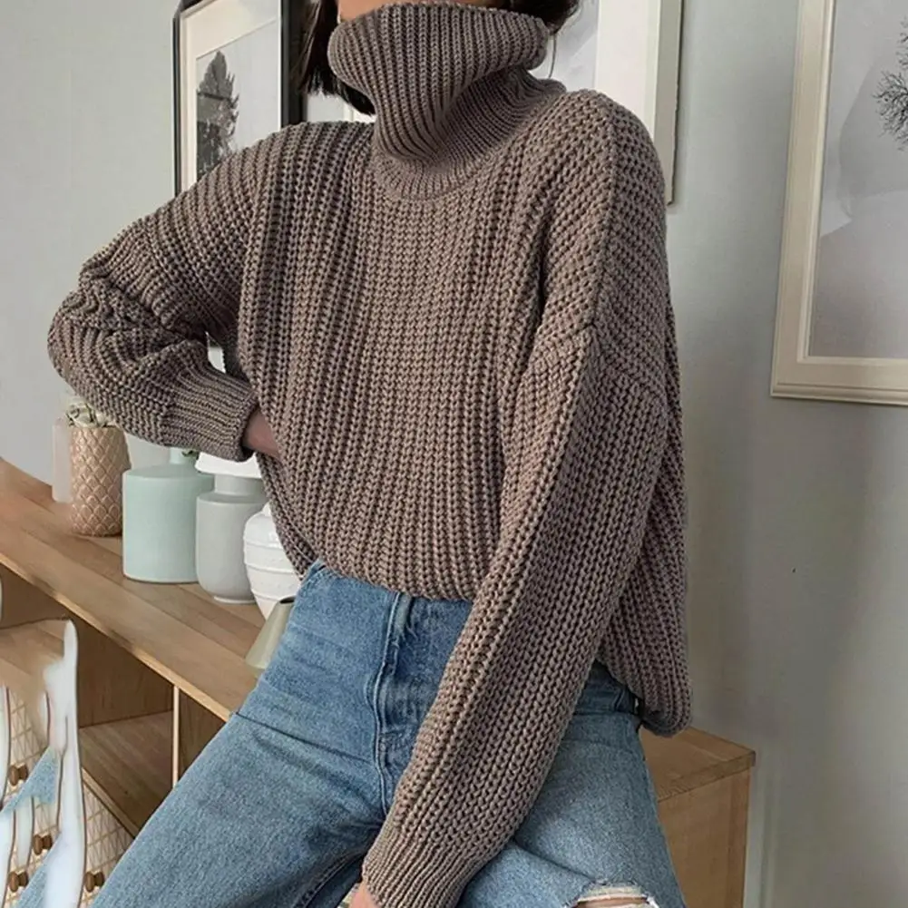 

Knitwear Casual Solid Color Turtleneck Knitted Pullover Women Knit Sweater High Neck for Daily Wear