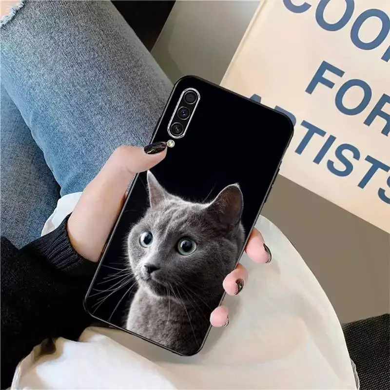 

Chartreux cat Cute animal Phone Case For Samsung galaxy S 9 10 20 A 10 21 30 31 40 50 51 71 s note 20 j 4 2018 plus
