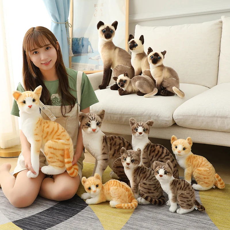

Cute 3D American Shorthai &Siamese Cat Plush&Stuffed Lifelike Doll Animal Pet Toys For Children Home Decor Baby Birthday Gift