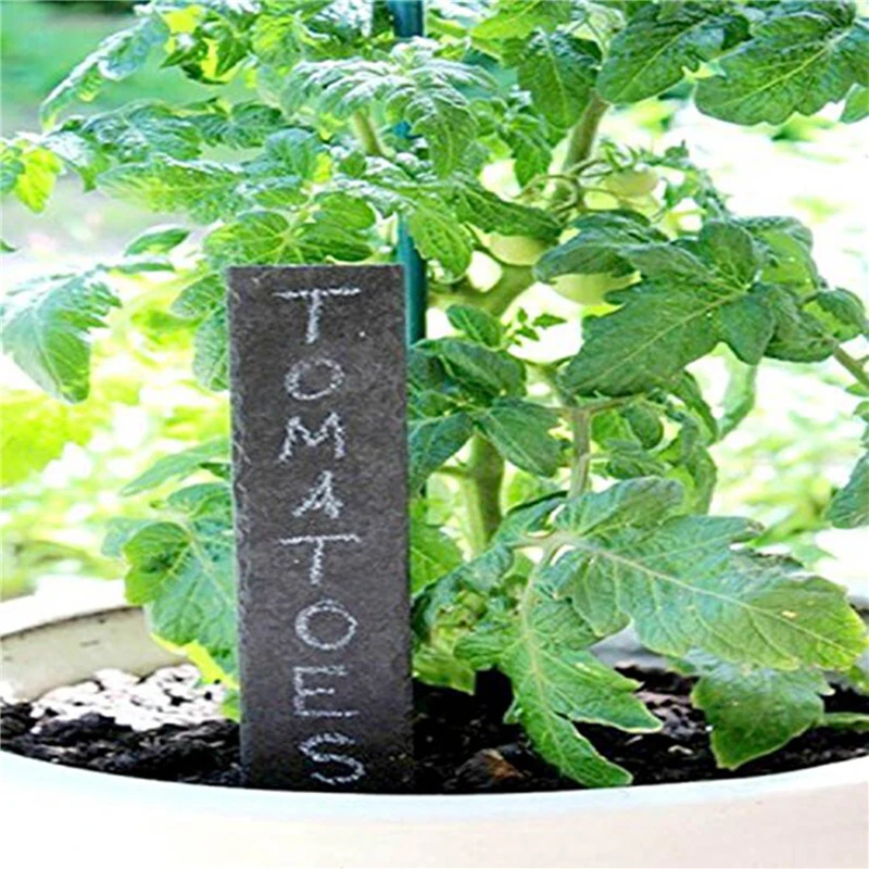 

5 Pieces Slate Garden Flower Plant Labels Set Of 5 Natural Slate Garden Markers For Herbs Pots And Garden Reusable Slate Tags