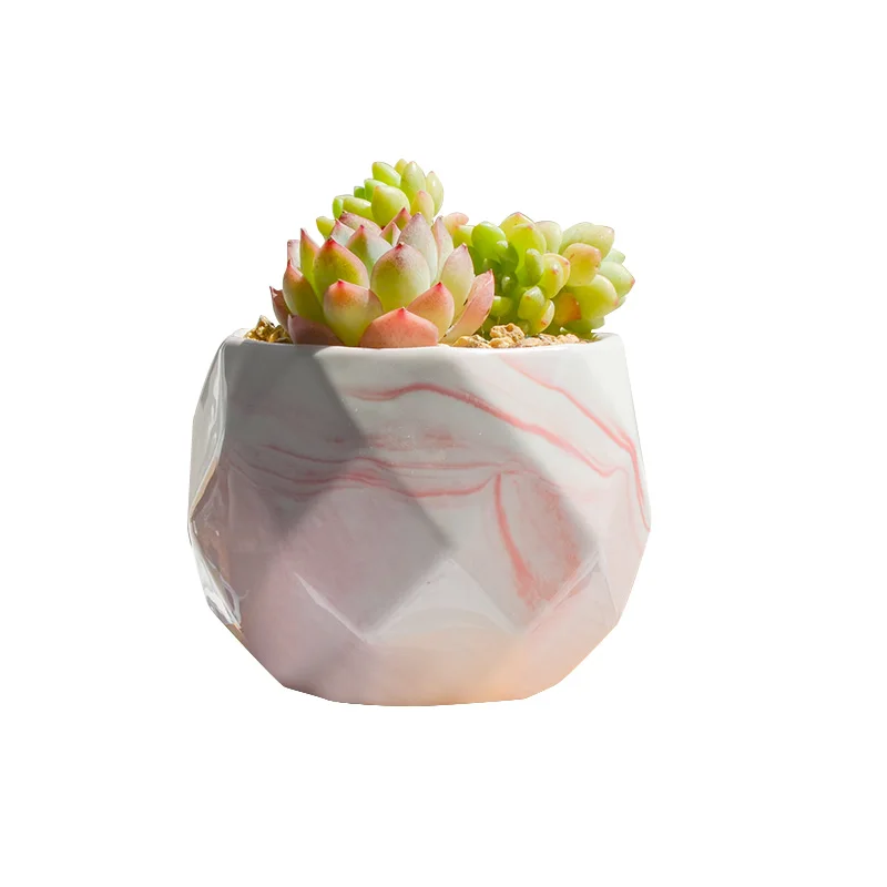 Succulent Geometric Plant Pot Pink Small Desk Modern Balcony Flowerpot Indoor Home Minimalist Cactus Macetero Decoration ZZ50HP | Дом и сад