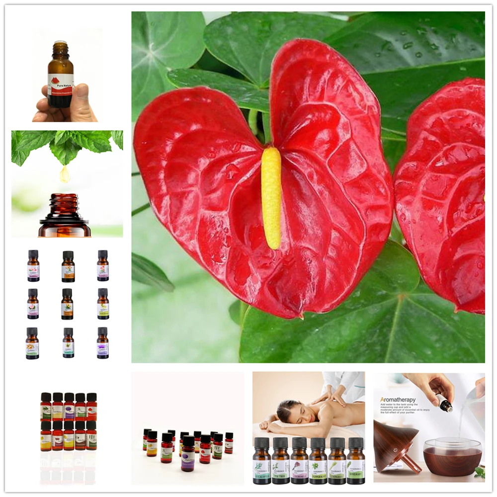 Эфирное масло высокого качества для диффузора Ароматерапевтический увлажнитель