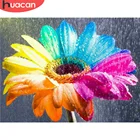 HUACAN картина по номеру Подсолнух, настенное Искусство DIY рамка картина по номерам Цветок акриловый Холст Картина декор для детской комнаты