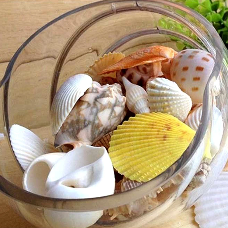 50/100 шт 2-3 см из-мелкие ракушки аквариум мини раковины микро-пейзаж морских раковин природных крафт снарядов для рукоделия
