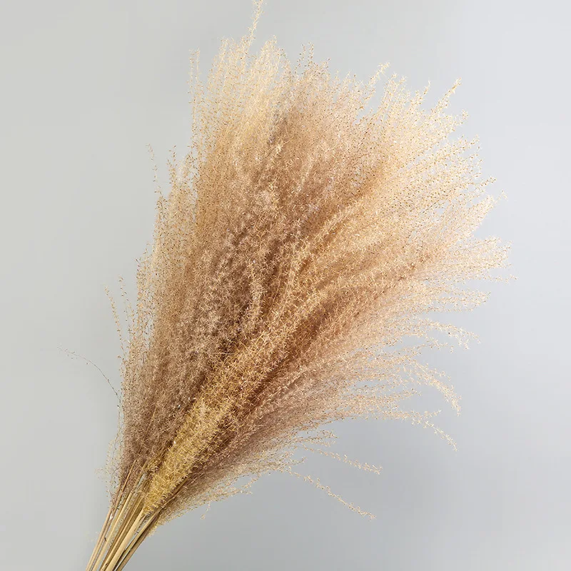 

10Pcs/lot Dried Flower Reed grass Bouquet Pampas Grass For Home Decoration Accessories Wedding Background Road Leads