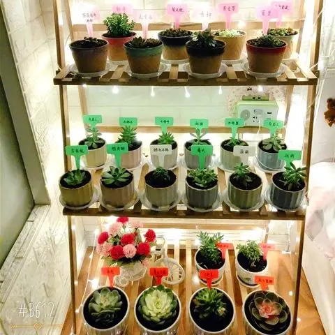 

( 100pcs Label + 1pcs Pen )Waterproof Plastic Plant Hanging Tags Gardening Plant Flower Marker Label Label Nursery Tag Hot G348