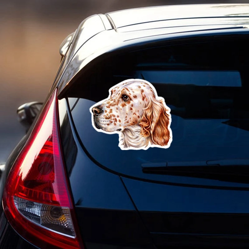 S40213# Печатный самоклеющийся наклейки на авто Английский сеттер