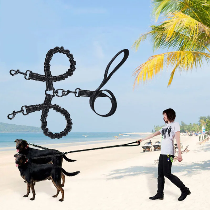 

Nylon Dog Double Walking Leashes Couple Puppy Dog 2 Way Collar Leash Pet Traction Lead Rope Belt For Small Large Dog Accessories