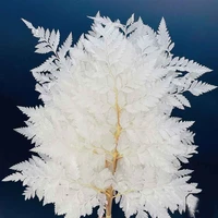5 bundles 50pcs dried preserved white wormwood branch flower for wedding party home hotel decor diy floral project accessory