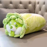 vegetable elf doll doll cabbage dog plush toy ragdoll cabbage dog girl sleeping pillow birthday gift