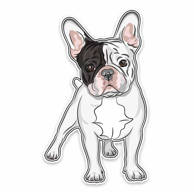 

Funny Cute Dog Car Sticker Automobiles Motorcycles Exterior Accessories Vinyl Decals for Honda Lada Bmw Audi,15cm*9.3cm