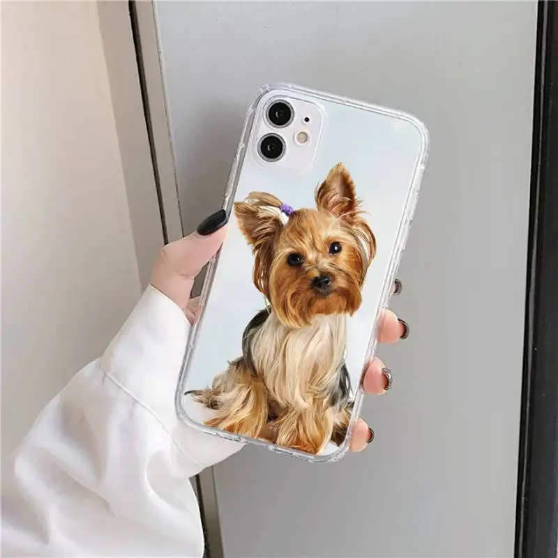

York shire Terrier dog Phone Case Transparent for iPhone 11 12 mini pro XS MAX 8 7 6 6S Plus X 5S SE 2020 XR