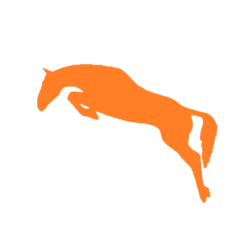 EARLFAMILY 2x страсть динамическая конная лошадь пар впереди прыгающий автомобиль