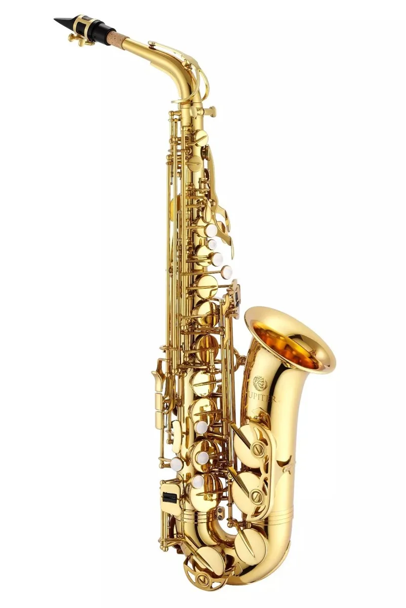 Саксофон JM JAS 1100SG Alto Eb Tune латунный никелевый посеребренный корпус золотой лак