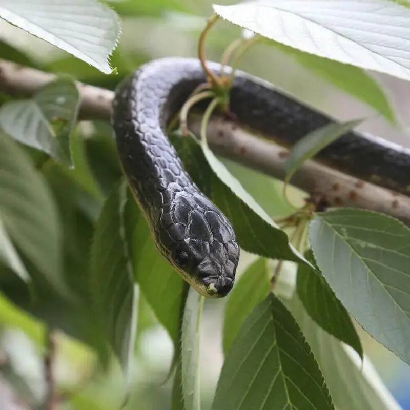 

1pc Realistic Soft Rubber Toy Snake Safari Garden Props Practical Jokes Prank Gift About 130cm Novelty And Gag Playing Jokes Toy