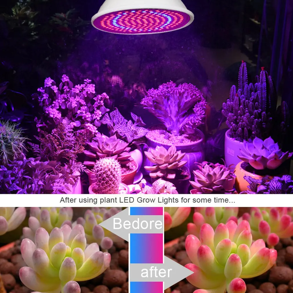 

LED 2835 Plant Winter Grow Light Led Plant Growing Lamp For Plant Flower Indoor Plants Fruits Flowers Grow Light