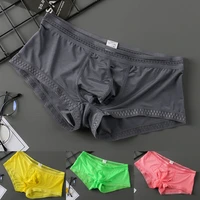 mens sexy underwear ice silk brief pantie low waist men lingerie see through pant underpants tangas intimate man bottom shorts