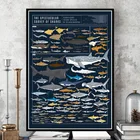 Новый постер с изображением акул, животных, картина маслом Художественная печать на холсте, настенные картины для гостиной, домашний декор