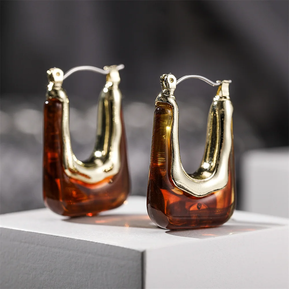 

Vintage Acrylic Resin Hoop Earring Statement Women's Fashion Exaggerated Acrylic Pendant Earrings ZA Fashion Jewelry Gift