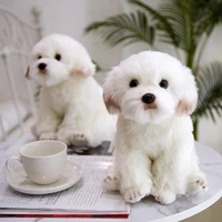 simulation maltese dog plush toy dog cute high quality doll puppet 3d toy home decor special birthday xmas gift for kids