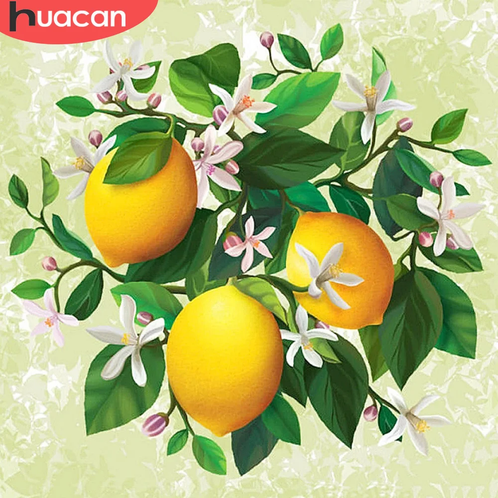 

Набор для алмазной мозаики HUACAN, алмазная 5D картина «сделай сам» с фруктами, оранжевыми цветами, полная вышивка, украшение для дома
