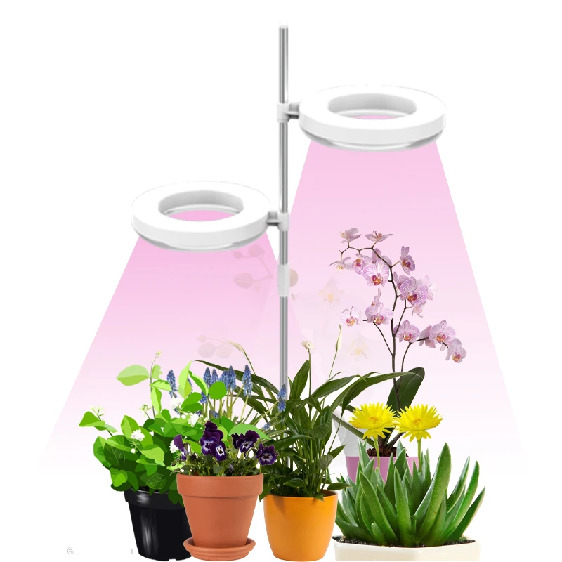 Ground plug-in LEDplant growth light USB imitating sunlight indoor plant fill light household full-spectrum circular flower pot
Ground plug-in LEDplant growth light USB imitating sunlight indoor plant fill light household full-spectrum circular flower pot