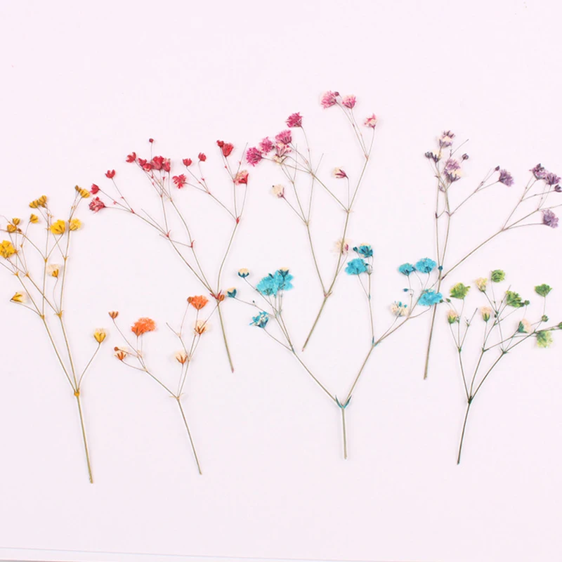 50 шт./пакет Гипсофила сухих цветов с тисненным изображением цветка тиснением