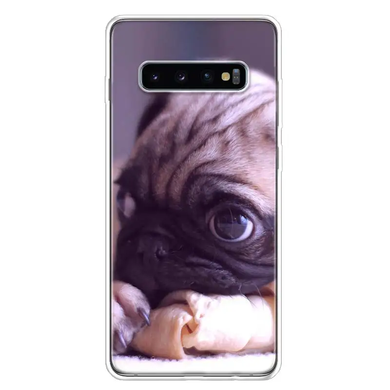 TW113-8 Изображением симпатичного мопса или крышка чехол для телефона для samsung Galaxy S10+ Note 10 9 8 S9 S8 J4 J6 J8 плюс S7 S6 корпус под плетенную сумку - Цвет: TW113-8