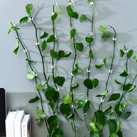 invisible wall rattan clamp plant climbing vine clips self adhesive fastener tied fixture vine fixed buckle sticky hook supports