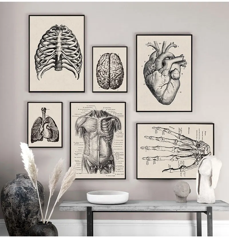 Nordic Canvas Print Education Painting Modern Decor Human Anatomy Artwork Medical Wall Picture Muscle Skeleton Vintage Poster |
