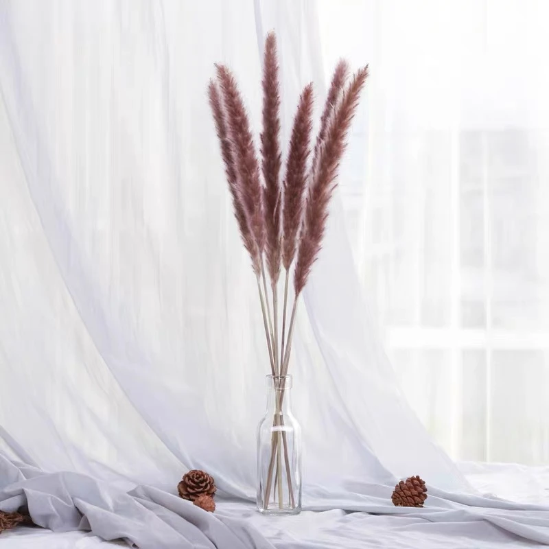 Настоящая сушеная пампасная трава свадебный цветок букет натуральные растения