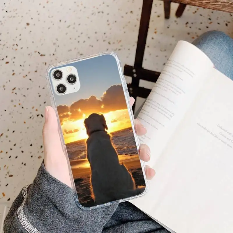 

Golden Retriever Golden dog animal Phone Case Transparent for iPhone 11 12 mini pro XS MAX 8 7 6 6S Plus X 5S SE 2020 XR