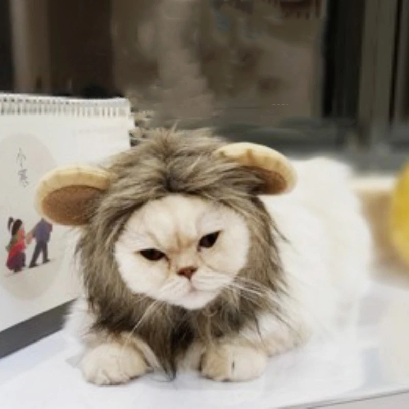 Зоотовары аксессуары для кошки собаки парик головной убор костюм фурри милые