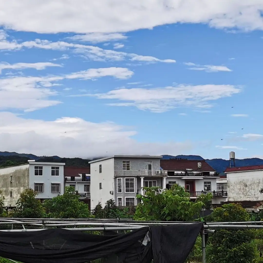 Флуоресцентный | Украшения и аксессуары