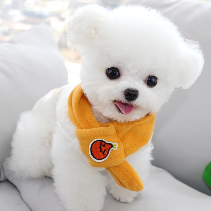 

Pet Autumn/winter Coat Cat Bichon Cartoon Pullover Thick Dog Clothes Puppy Fashion Coat Teddy Two-legged Clothes With Scarf