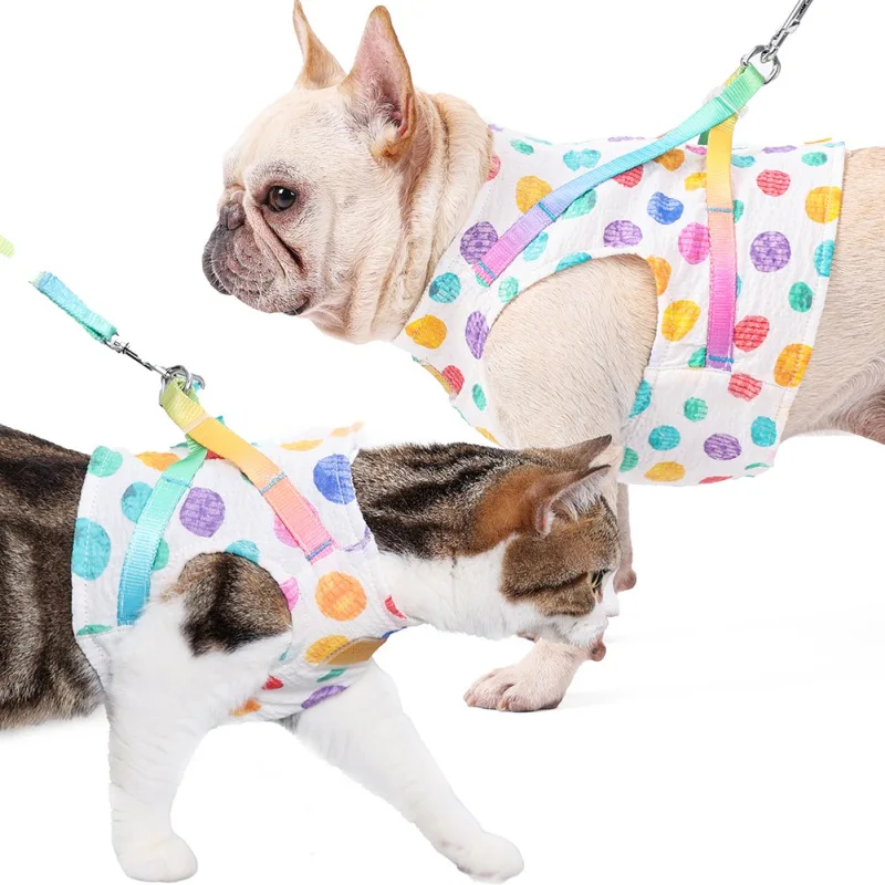Dog Harness with Leash Set Summer Pet Adjustable Rainbow Wave Point Vest Walking Lead for Puppy Harness for Small Medium Dog