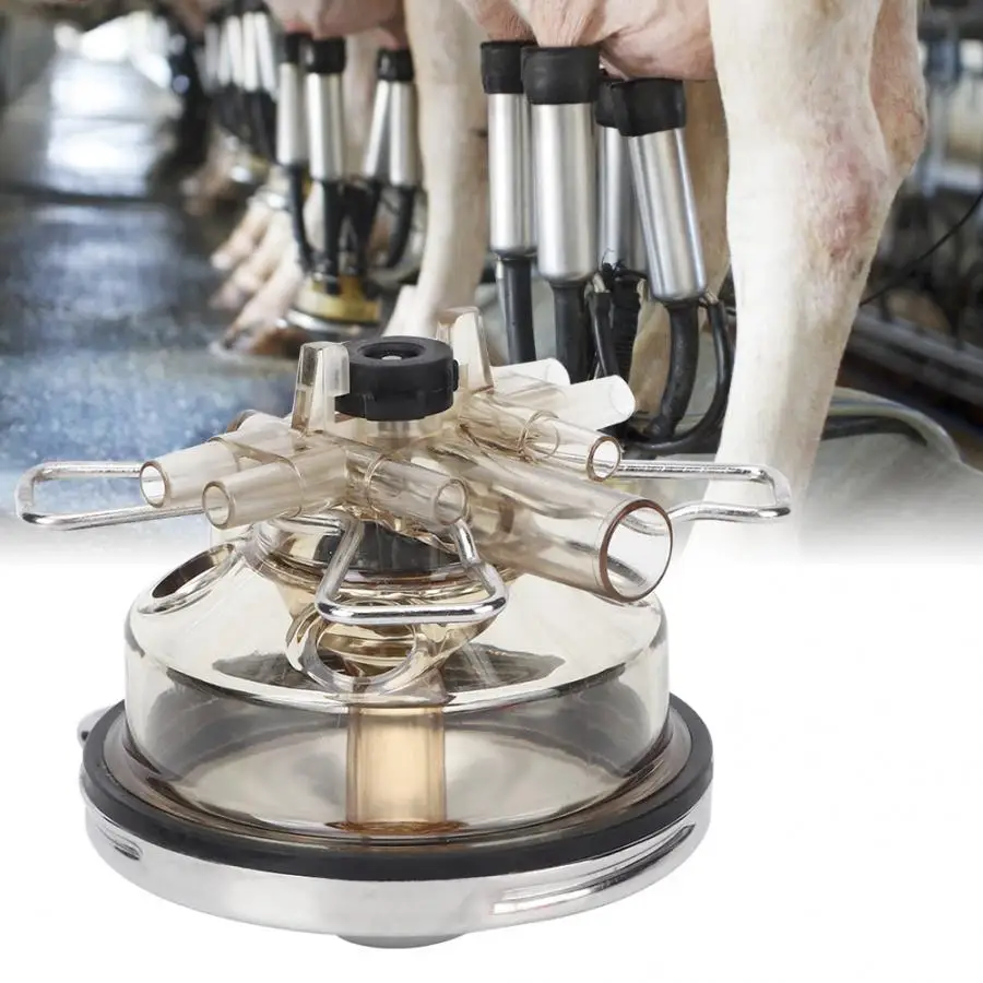 240cc 300cc 350cc доильный коллектор для овец аппарат коз запчасти машины
