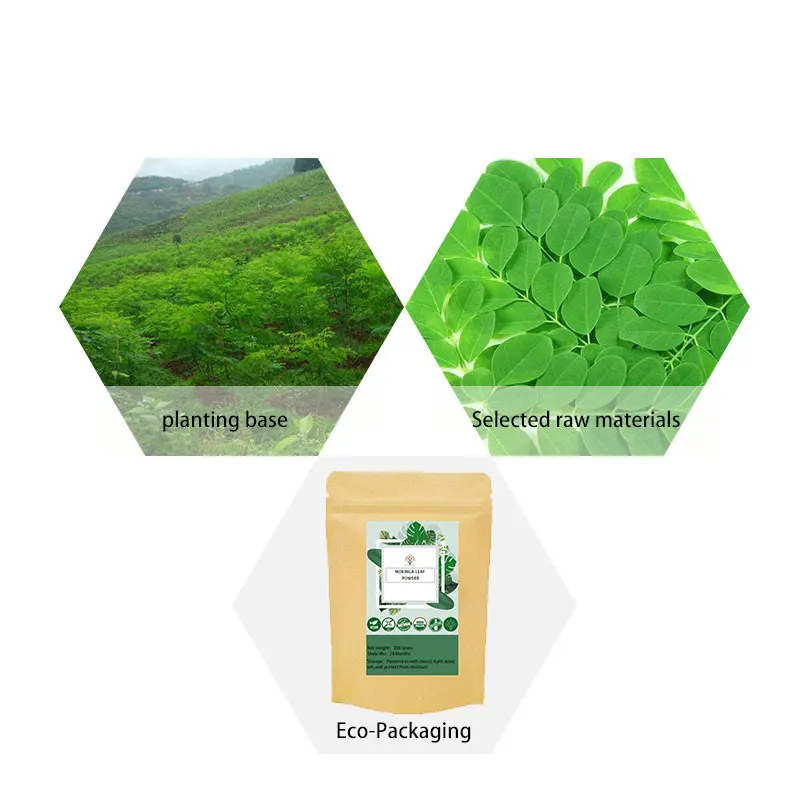 Порошок Моринги органический порошок листьев чай Моринга бесплатная доставка