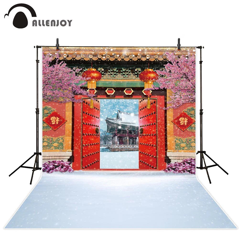 Фон для фотосъемки Allenjoy Китайский праздник весны дверь Фотофон с
