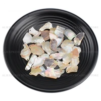10 500 pcs drilled 1 hole genuine natural shell irregular chips online bulk wholesale for necklace earrings making supplies