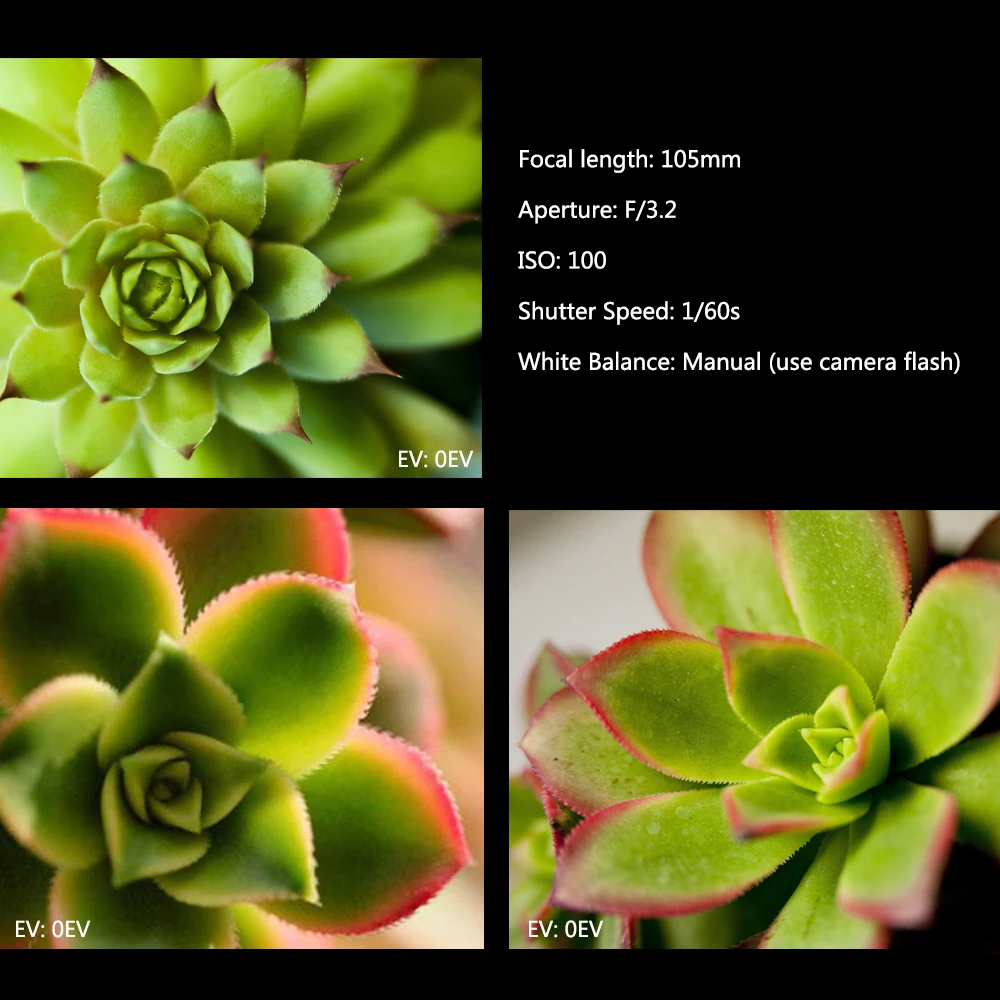 Увеличением фокусного расстояния Mcoplus Meike MK-MT24 Macro Twin Lite флэш памяти для Nikon D7100 D7200