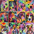 Картина AZQSD по номерам, собака, акриловая масляная живопись по номерам, красочные животные, сделай сам, без рамки, украшение, ручная роспись, набор холста