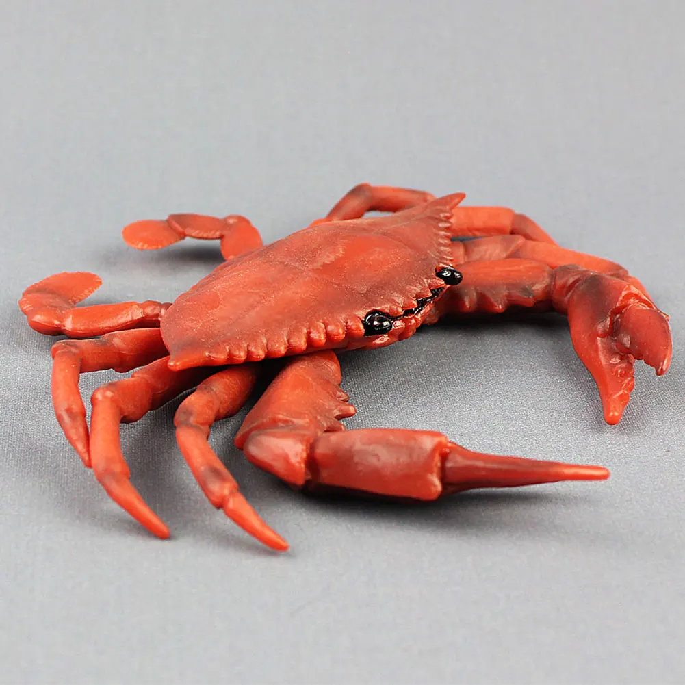 

Figure Simulation Crab Decoration Learning Collection Plastic Realistic Solid Toy Gifts Home Child Educational Sea Animal Model