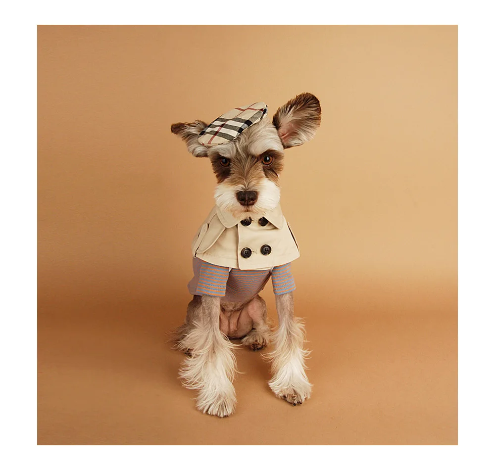 Ветрозащитная накидка корги для собак в британском стиле | Дом и сад